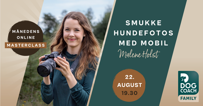 Knæk koden til smukke hundefotos med mobil