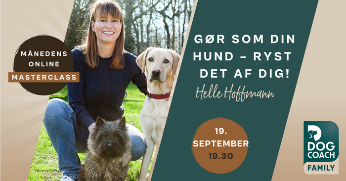 Gør som din hund – ryst det af dig!