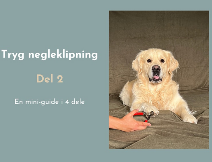 Tryg Negleklipning - del 2