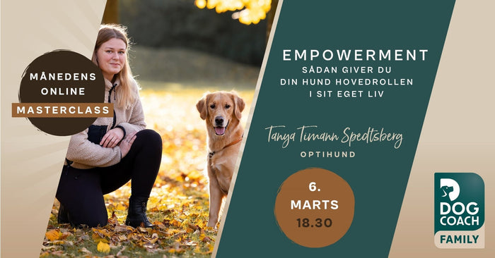 Empowerment - Sådan giver du din hund hovedrollen i sit eget liv