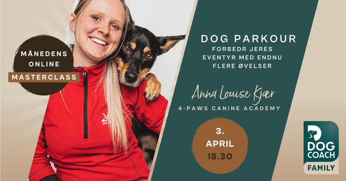Dog Parkour - forbedr jeres eventyr med endnu flere øvelser!