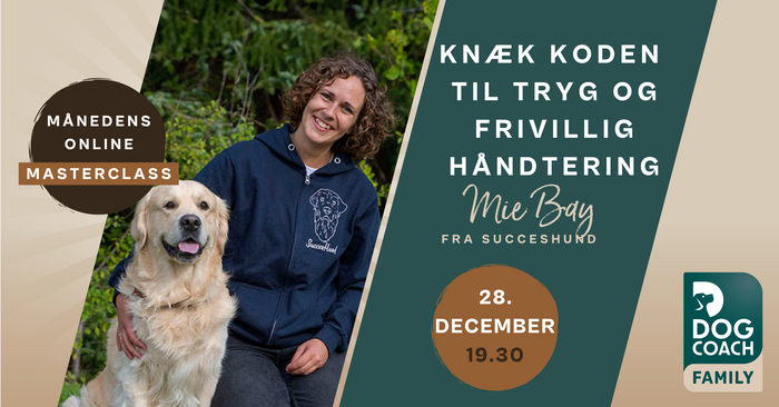 Knæk koden til Tryg og Frivillig Håndtering