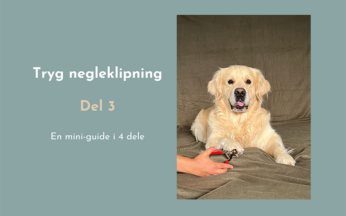 Tryg Negleklipning - del 3