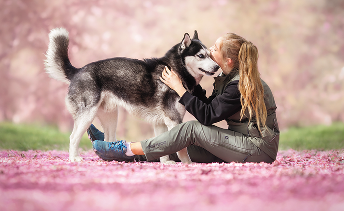 De 10 ting du aldrig forventede som hundemor