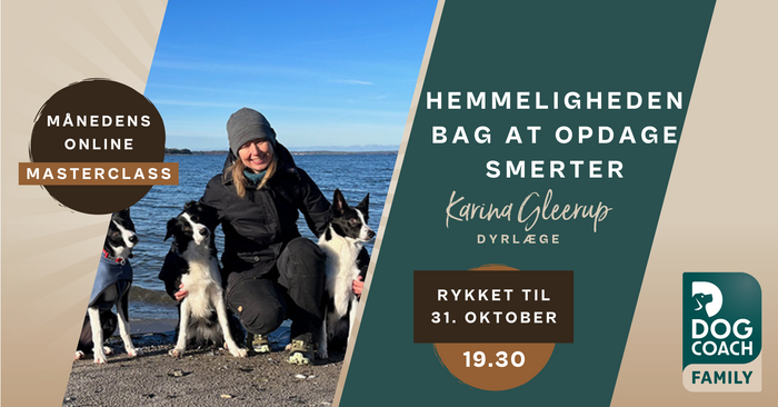 Hemmeligheden bag at opdage smerter