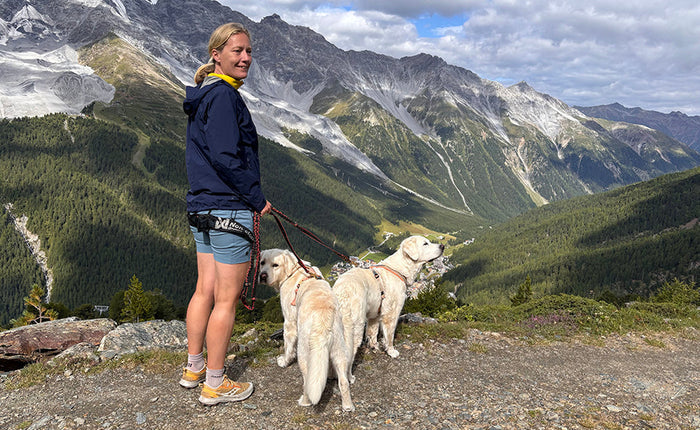 Kan hunde lære os om livet?