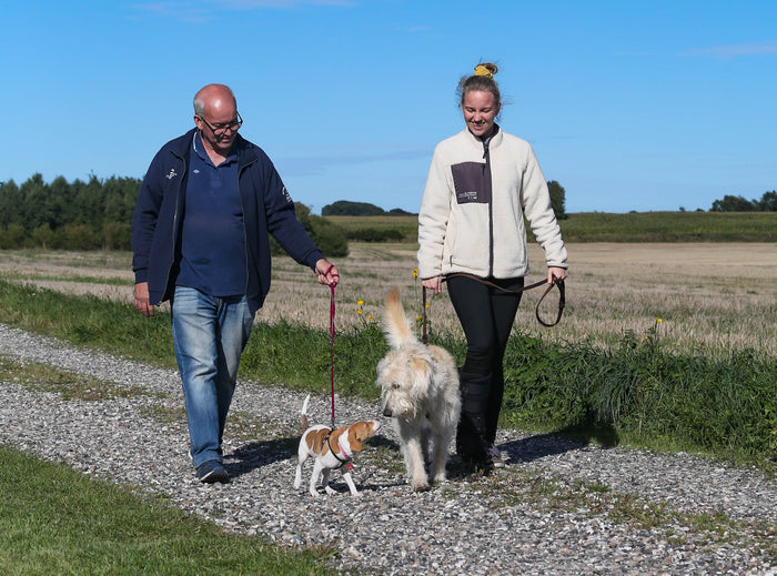 Miniguide del 2 – Lær at forstå din hunds signaler