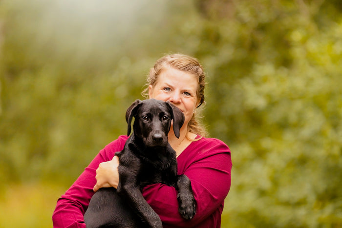 Miniguide - del 1: 10 gode råd til at vælge den bedste hund til netop dig