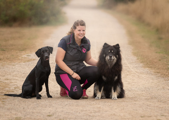 Miniguide - del 4: 10 gode råd til at vælge den bedste hund til netop dig