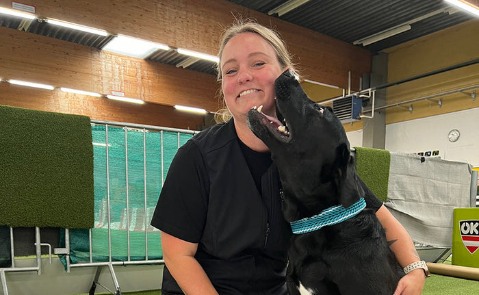 Om alt det der er fulgt med ved at have fået hund.