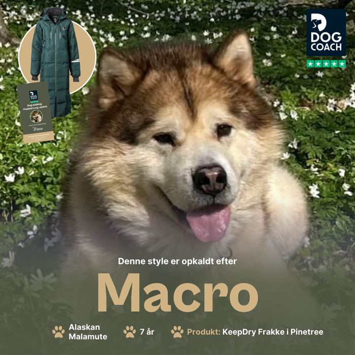 KeepDry Frakke | Pinetree | Macro