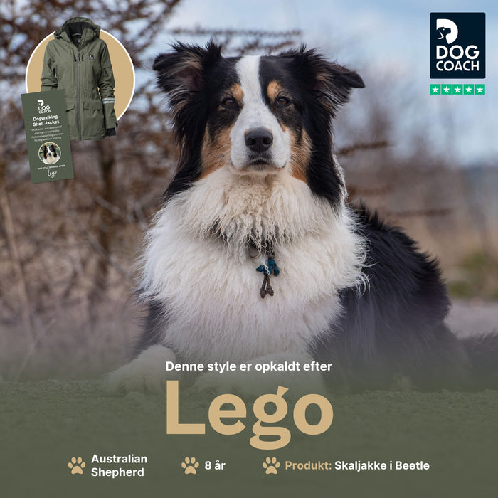 Pack&Carry Skaljakke | Beetle | Lego