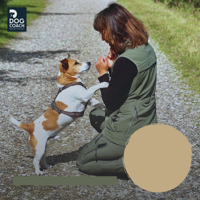 Elite Hundetræningsvest | Sort | Boss