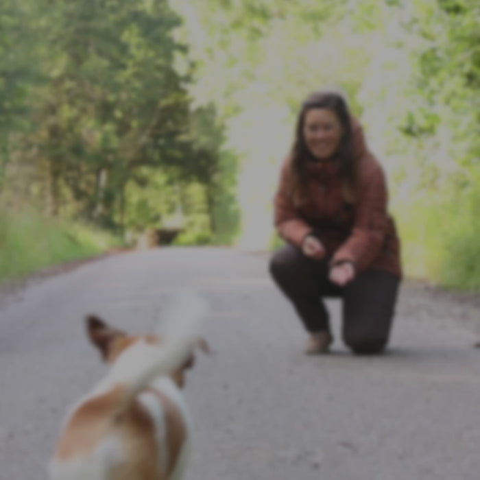 KeepDry Overgangsjakke | Sort | Bailey (få tilbage)