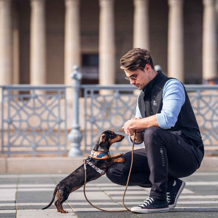 Elite Hundetræningsvest | Sort | Boss