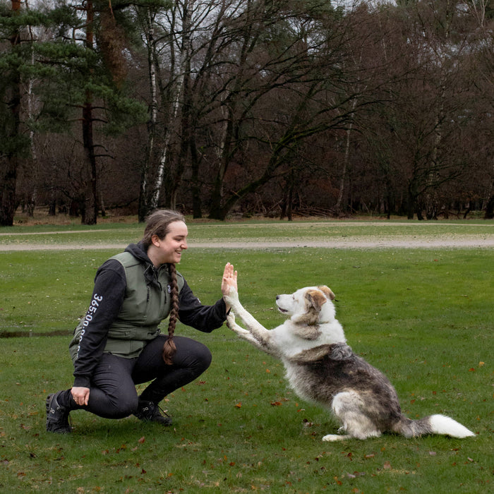 Elite Hundetræningsvest | Beetle | Boots