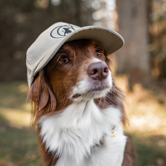 Hundelufter Kasket | Desert | Silas