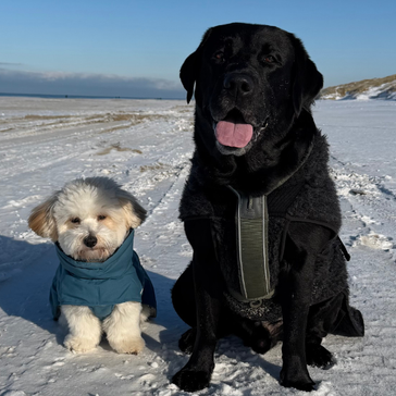 Hytteferie i Danmark