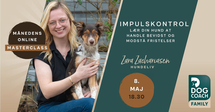 Impulskontrol - lær din hund at handle bevidst og modstå fristelser