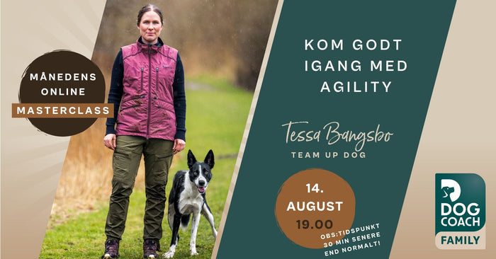 Kom godt i gang med agility