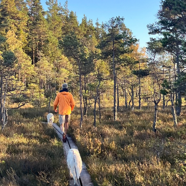 Små eventyr i øst og vest