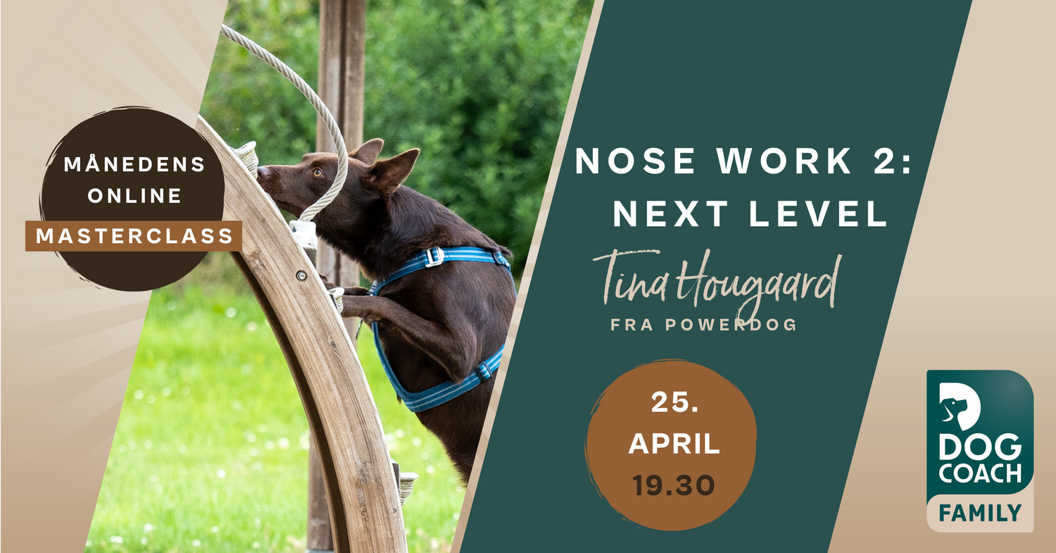 Knæk koden til Nosework 2: Next Level Nose Work 