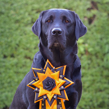 Færdighedsprøver - den hyggeligste prøveform!