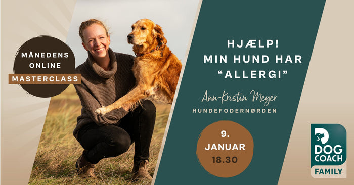 Hjælp! Min hund har “allergi”