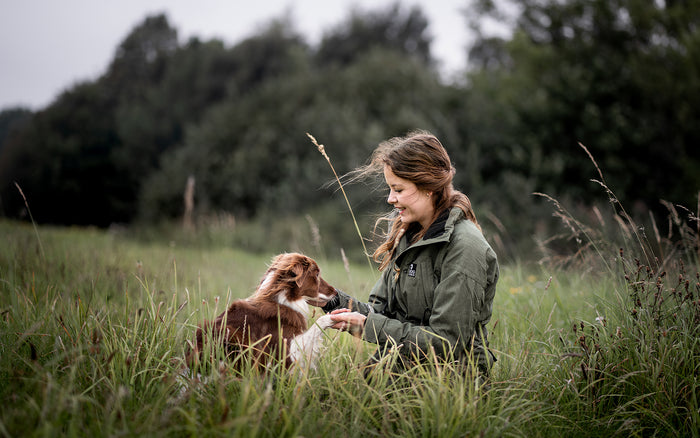 At blive solo hundemor: 9 ting du bør overveje, før du anskaffer en hund alene