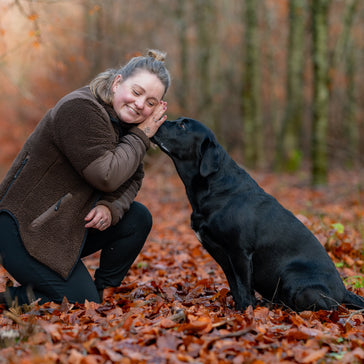 Hvorfor træne tricks med din hund?