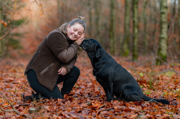 Hvorfor træne tricks med din hund?