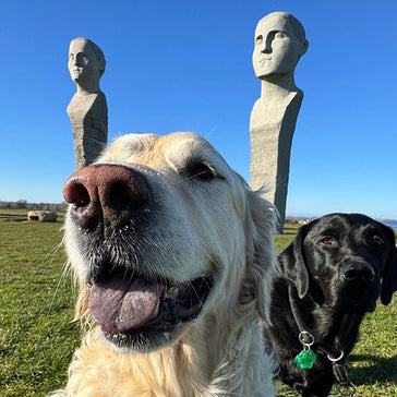 Tur til Dodekalitten 🗿
