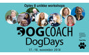 DogDay 2018