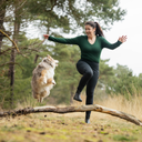 FeelFree Dog Walker Tights 2.0 I Sort I Cosmo