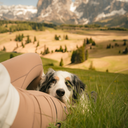 FeelFree Dog Walker Tights 2.0 I Mocca I Millicent