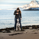 FeelFree Dog Walker Tights 2.0 I Navy I Tessa