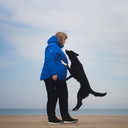 Dog Walker Allround Pants | Black | Short | Aisir