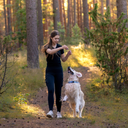 FeelFree Dog Walker Tights 2.0 I Sort I Cosmo