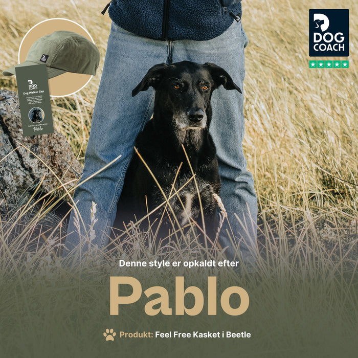 FeelFree Cap | Beetle | Pablo
