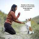 FeelFree Dog Walker Tights | Beetle | Dakota