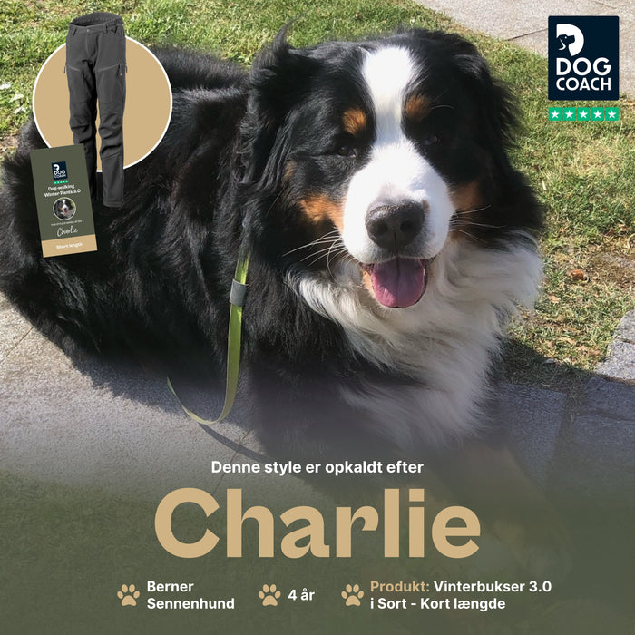 Hundelufterbukser 3.0 | Vinter | Sort | Kort | Charlie