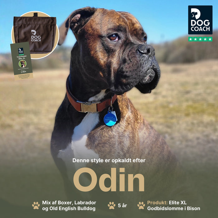 DogCoach Godbidslomme | Elite | XL | Bison | Odin