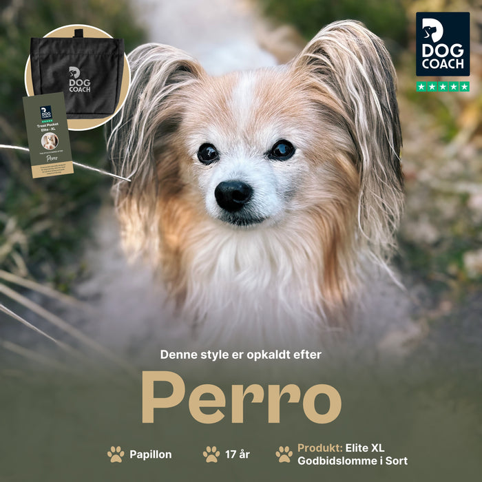 DogCoach Godbidslomme | Elite | XL | Sort | Perro