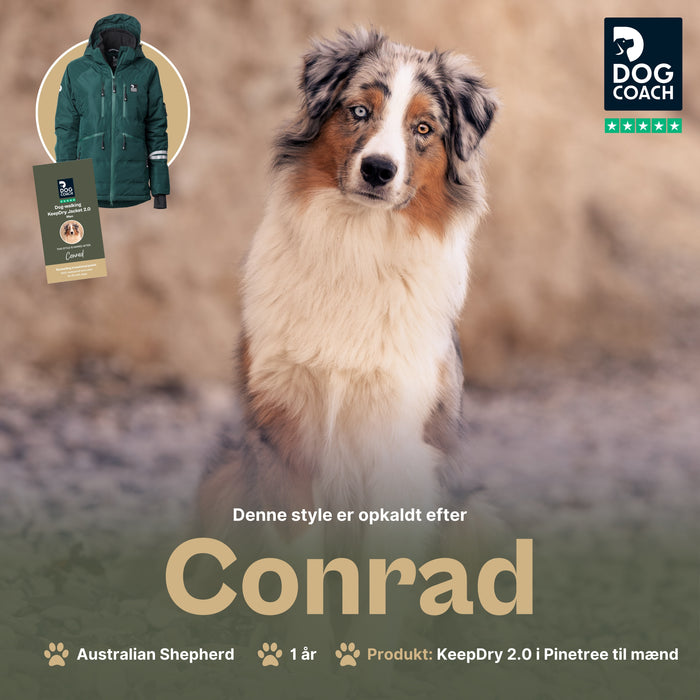 KeepDry Overgangsjakke 2.0 | Mænd | Pinetree | Conrad