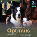 Winter Pants 3.0 | Regular | Black | Optimus