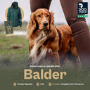 KeepDry Overgangsjakke 2.0 | Pinetree | Balder