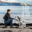 FeelFree Dog Walker Tights 2.0 I Navy I Tessa