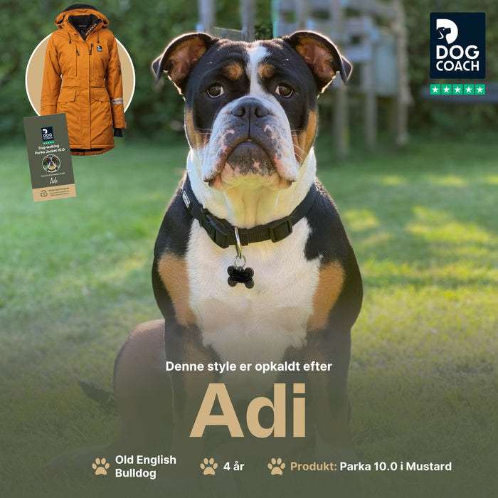 Parkajakke 10.0 | Mustard | Adi