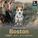 Pack&Carry Shell Jacke | Mocca | Boston