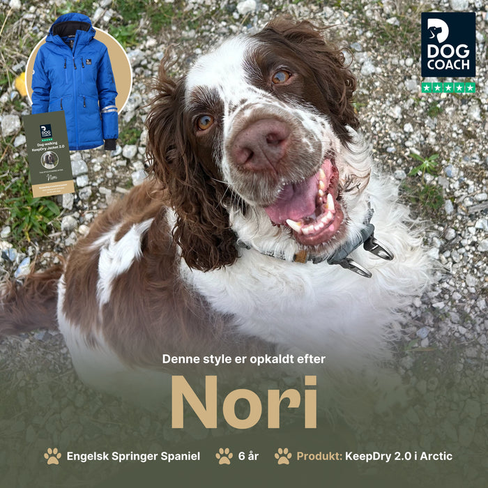 KeepDry Overgangsjakke 2.0 | Arctic | Nori